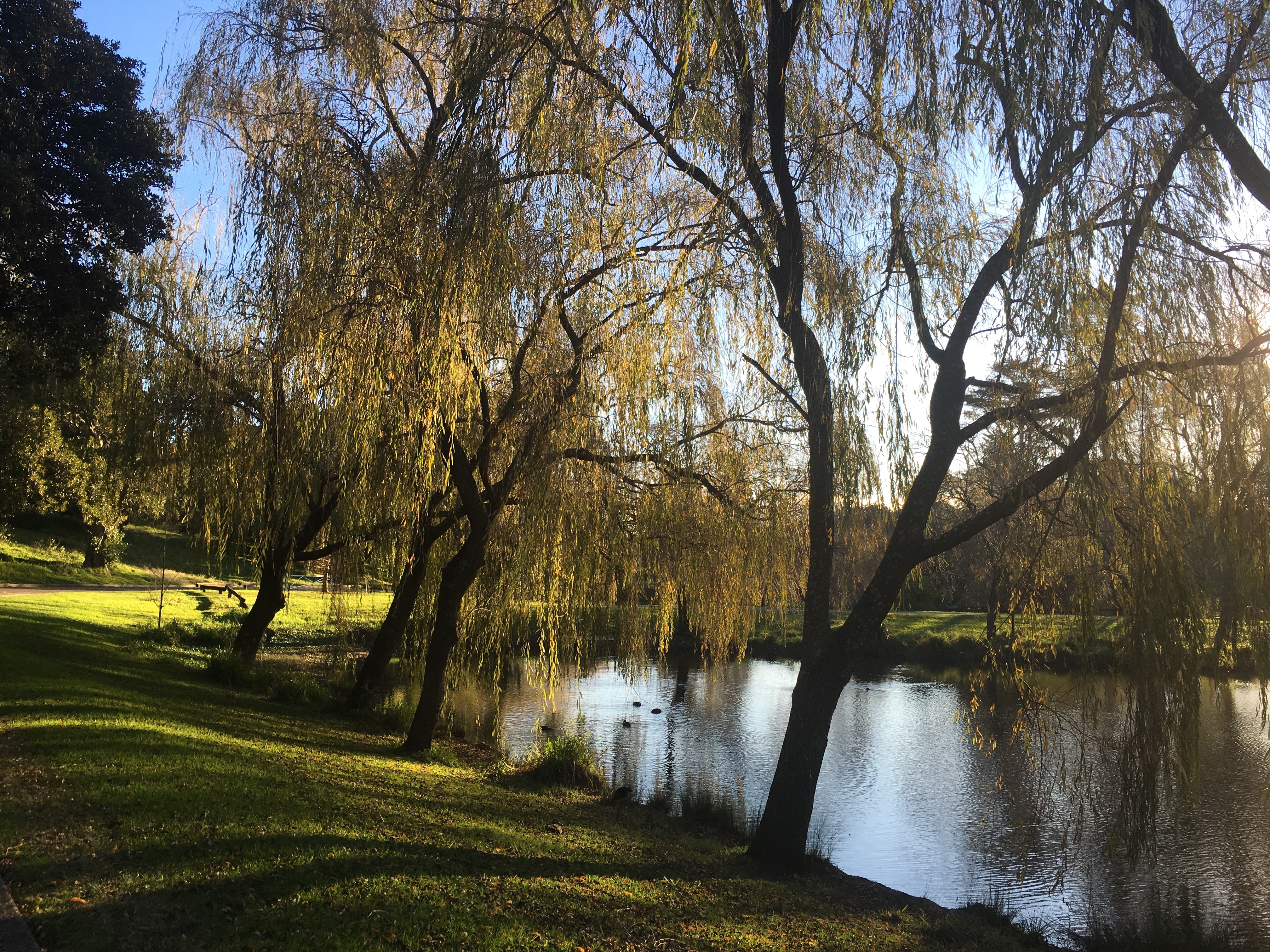 Centennial Park